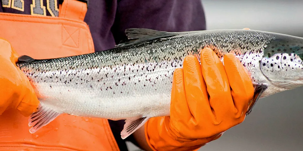 Salmon producers appear likely to face legal battle on new front.