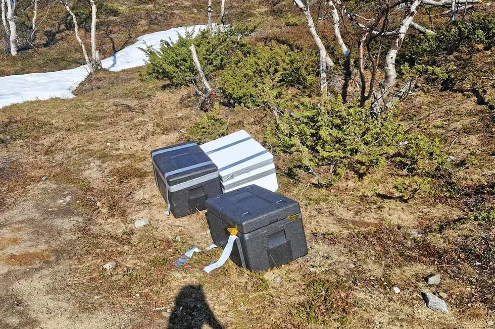 Tolletaten har flere ganger funnet fiskefileter dumpet i veikanten før grensestasjoner. Her et funn gjort før finskegrensa.