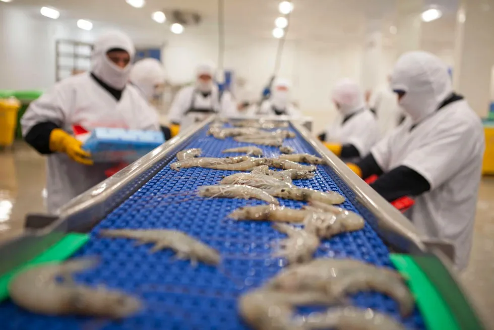 Ecuador's shrimp industry lost an estimated $1 billion (€942 million) so far this year because of a collapse in wholesale prices in key world markets.