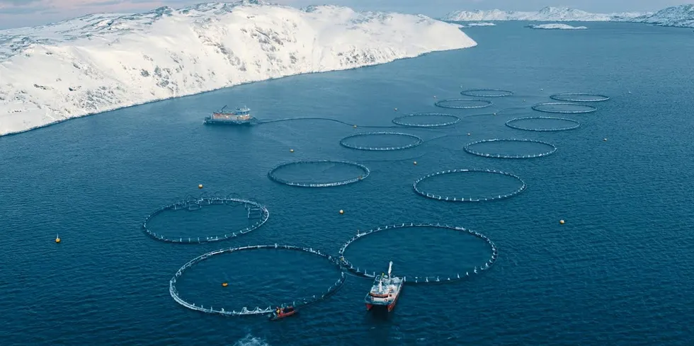 An aerial view of Inarctica's salmon farms.