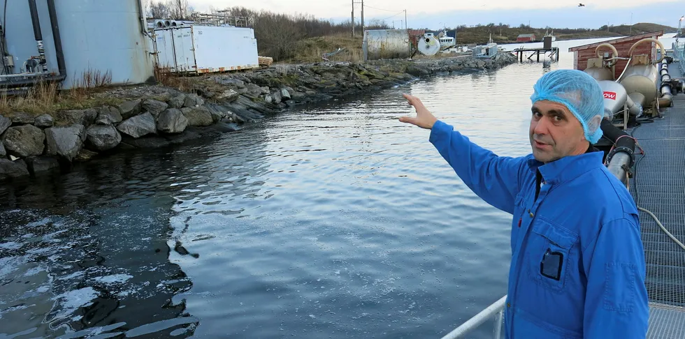 Daglig leder Johan Edvard Andreassen på lakseslakteriet Salten N-950 på Sørarnøy er glad for at lakseslakteriet er på en øy i disse koronatider.