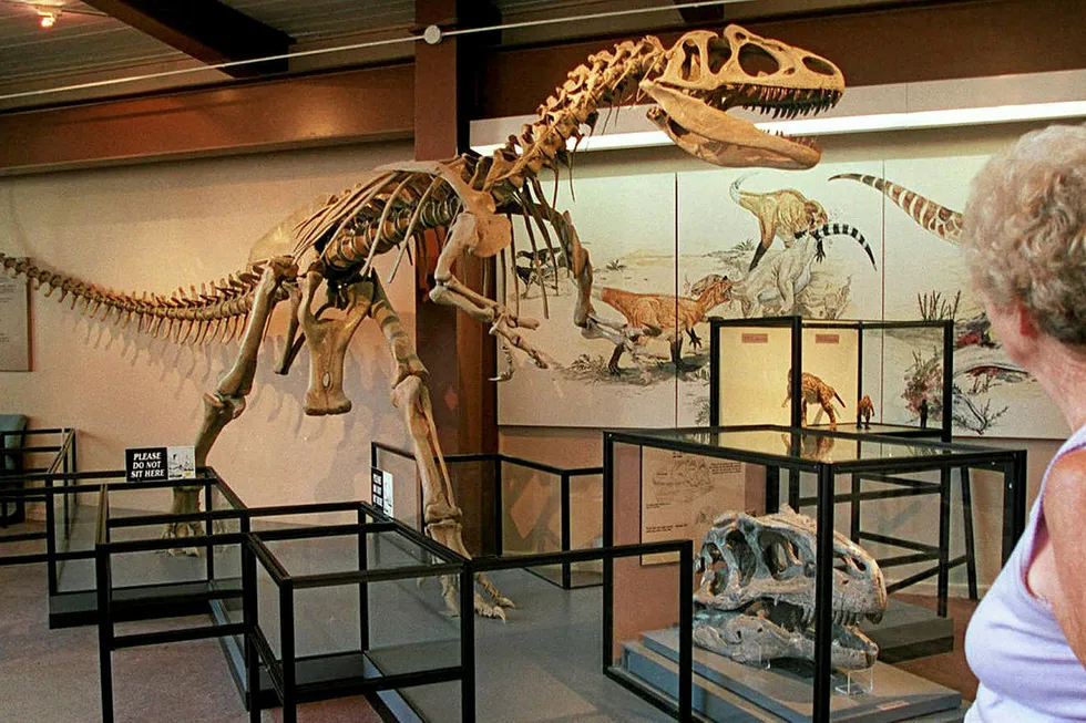Exhibit: a visitor to the museum at Dinosaur National Monument in Utah looks at a 35-foot-long Allosaurus