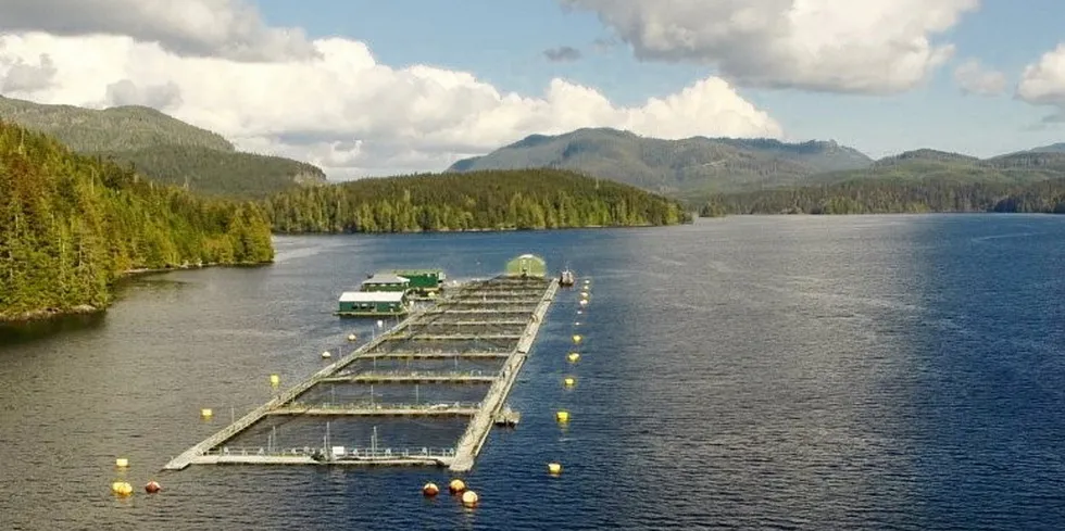 Mowi's Monday Rock salmon farm in British Columbia has been equipped with 15-meter-deep barrier shields, perimeter air bubble curtains, oxygen systems, and real-time environmental monitoring technology.