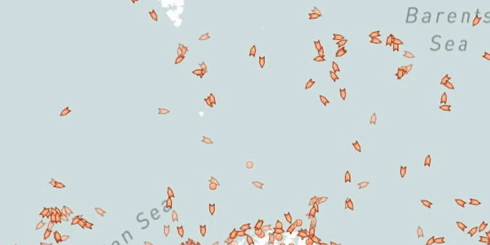 De to områdene som er stengt ligger ifølge NRK nord og sør for Bjørnøya.