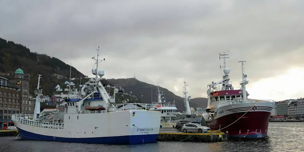 STORM: «Stormfuglen», «Skolmen» og «Øksnesværing» ligger ved Bradbenken i Bergen og venter på bedre vær for å jakte makrellen i Nordsjøen.Foto: OLE ERIK KLOKEIDE