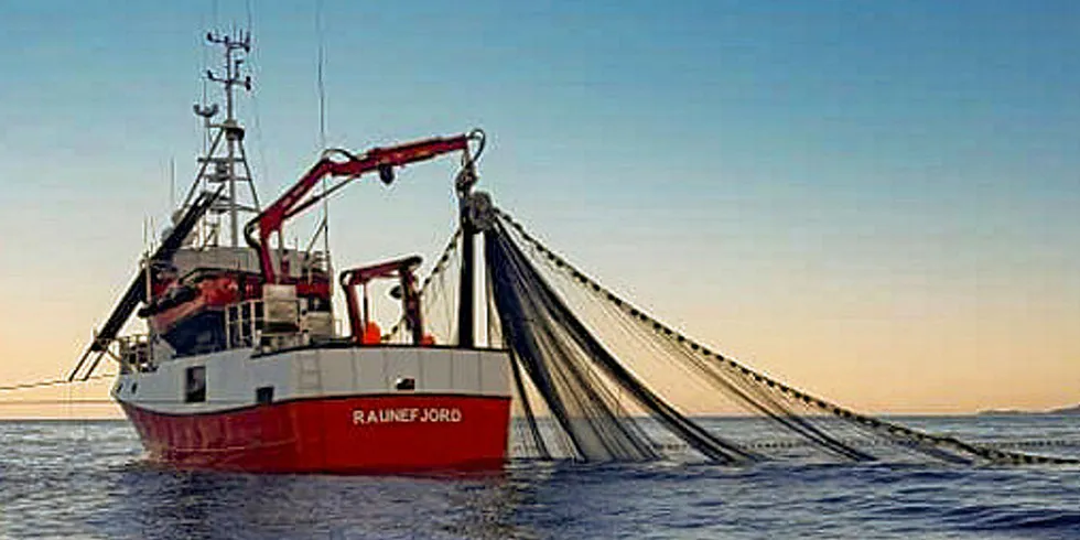 MARKELLFISKE I VESTFJORDEN: «Raunefjord» fisket makrell utenfor Reine i Lofoten denne uka, og leverte hos Lofoten Viking på Værøya. Fisket er så vidt i gang.