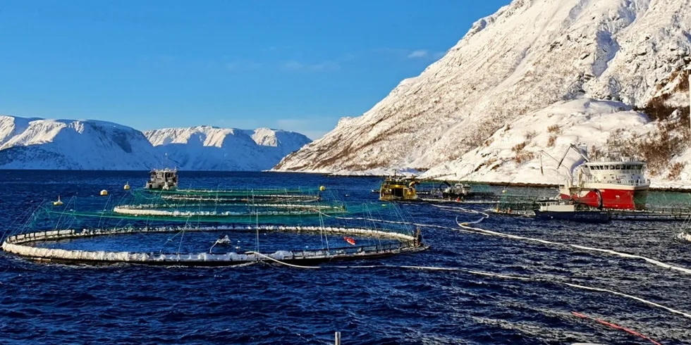 Bilde av Grieg Seafood sin lokalitet Davatluft.