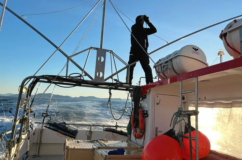 Ein skipper ser etter fisk. Kronikk-forfattar meiner det ikkje er naudsynt å ta ned kvotane på lange og brosme.