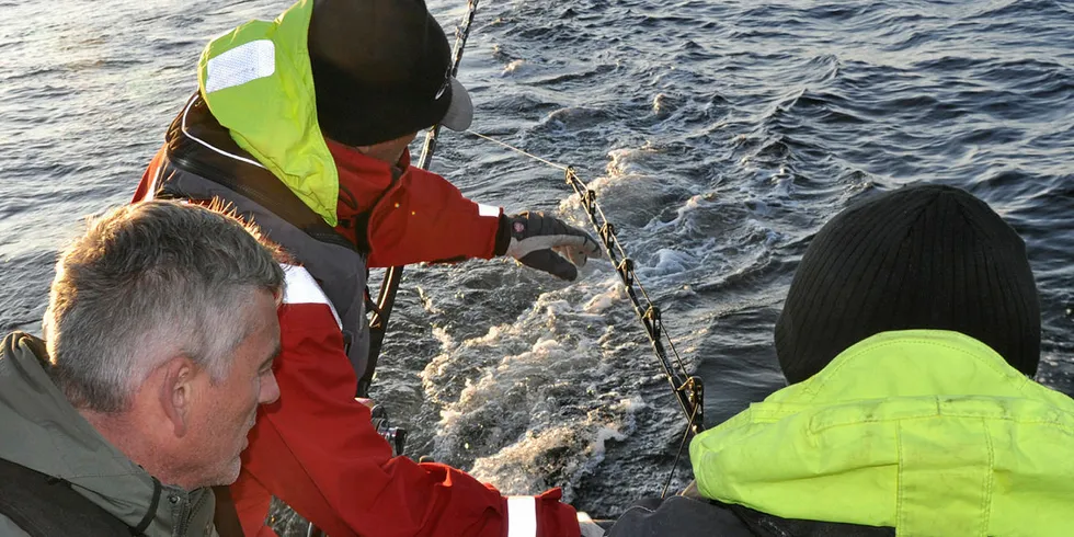 SÅ EI STØRJE: Mannskapet på «Offshore Hunter» stimer sammen – var det ikke en størje der?