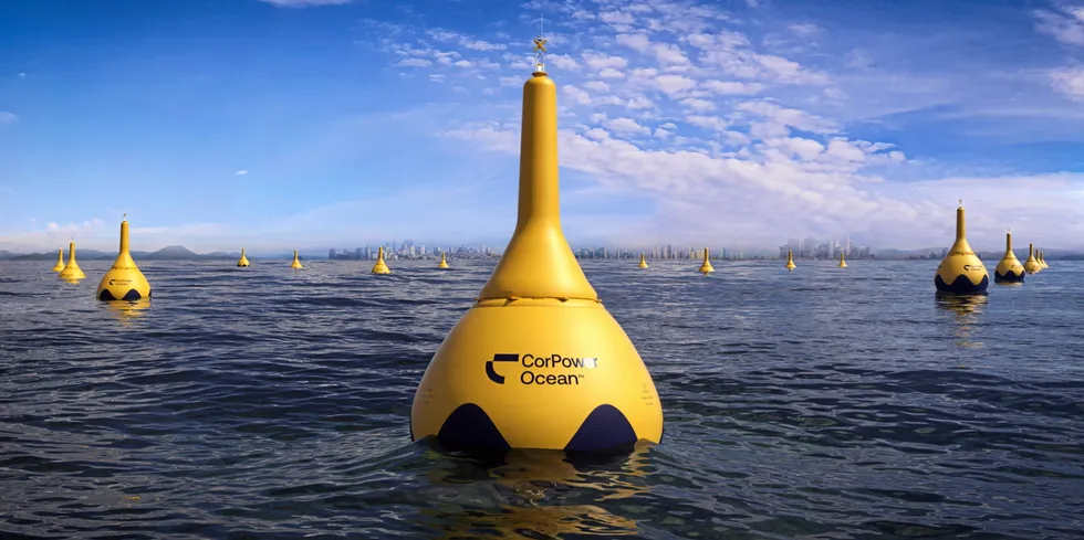 Image of planned CorPower Ocean wave farm