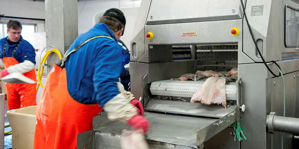 MER BEARBEIDING: Politikerne kan benytte verktøy som allerede ligger tilgjengelig for å sikre bedre kvalitet på råstoffet og for å flytte på både lønnsomhet og tilgjengelighet.