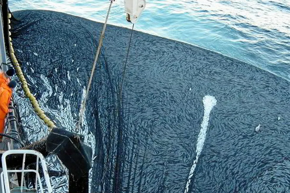 Norway, UK reach mackerel quota agreement for 2023 Intrafish