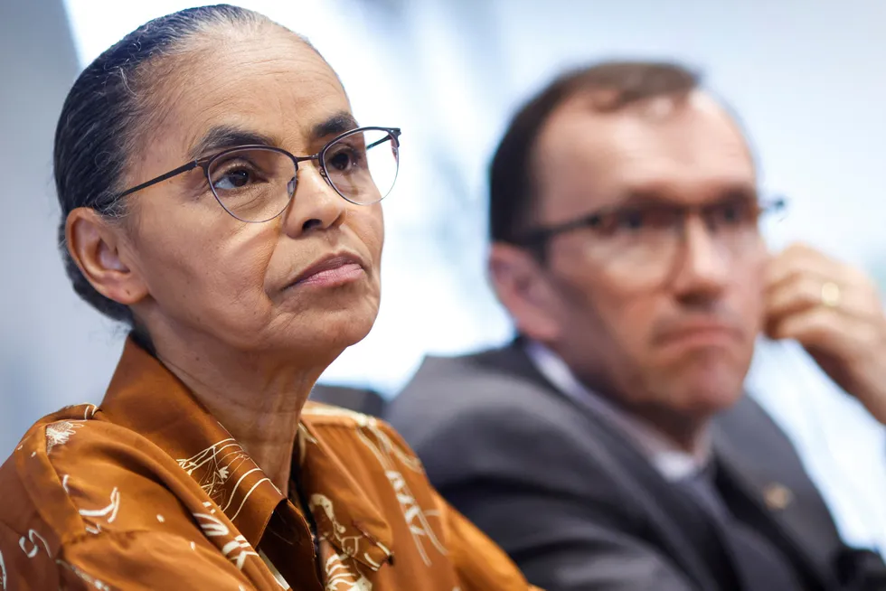 Feisty: Brazil's diminunitive environment minister Marina Silva is a lioness when it comes to defending the environment and indigenous rights