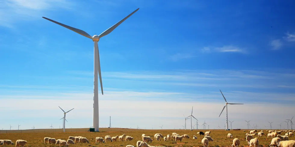 China's wind sector has been growing at a pace unmatched anywhere in the world