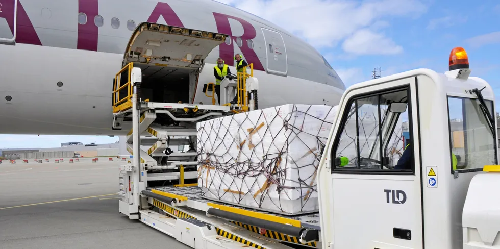 Det var lykkeligere tider i Bodø i juni i år: Et brett med laksekasser, tilbringer-bil, highloader som er en spesiell lift til lasting og lossing av store fly, og en Boeing 777.