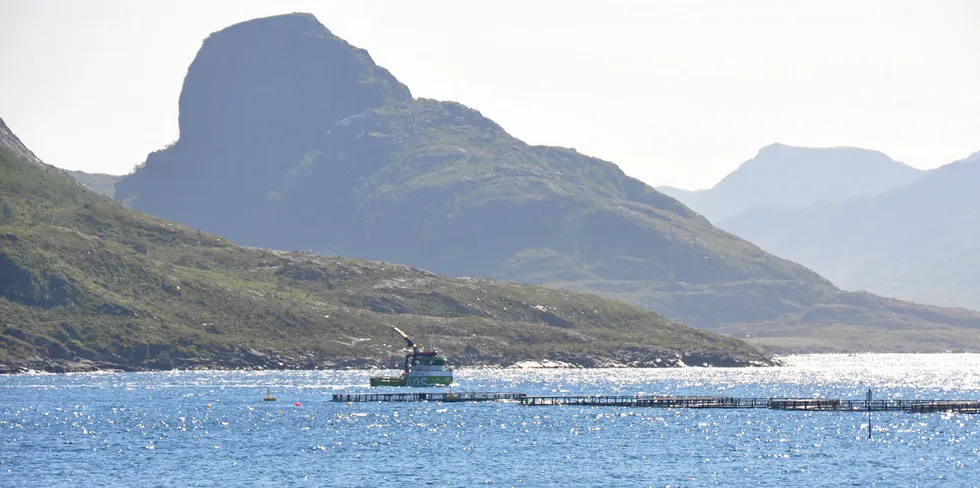 Dagens havbruk er overhodet ikke bærekraftig for naturen og klimaet, skriver Klemet Godtland.