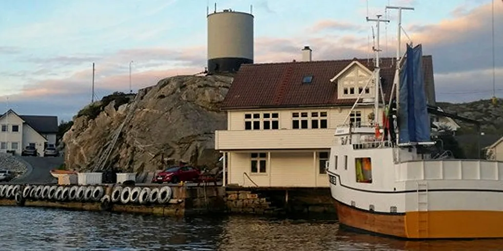 MEST HVITFISK: Brandasund Fiskemottak er for det meste hvitfiskmottak, men pakker også makrell.