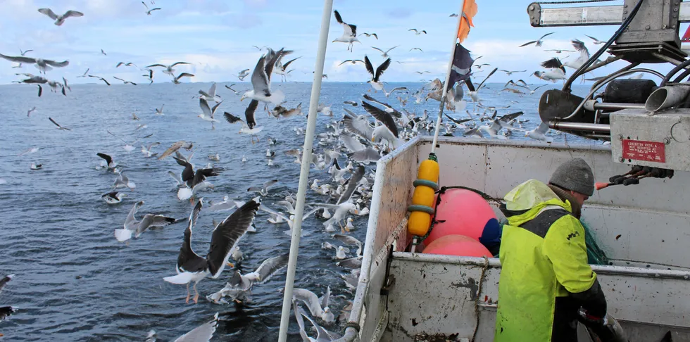 Det nye selskapet på Valderøya skal drive fiskeri og salg av fiskeprodukter.