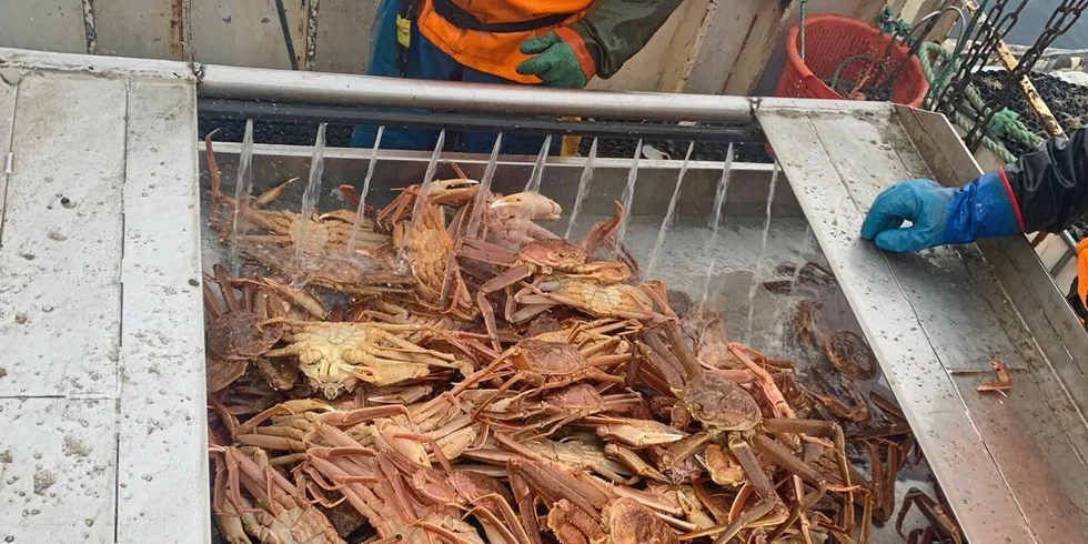 Stridens kjerne er snøkrabbe. I dag møter det latviske rederiet Sia North Star Ltd. staten ved Nærings- og fiskeridepartementet i Høyesterett.