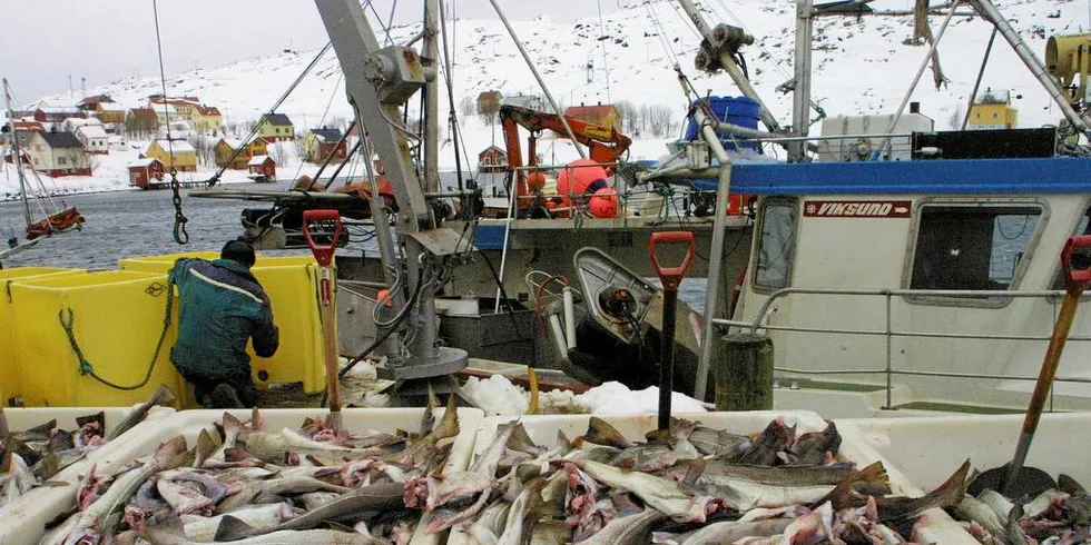 DANNER RYGGRADEN: Det er de mindre fiskefartøyene som danner ryggraden for næringslivet i mange mindre kystsamfunn.Arkivfoto: Bjørn Tore Forberg