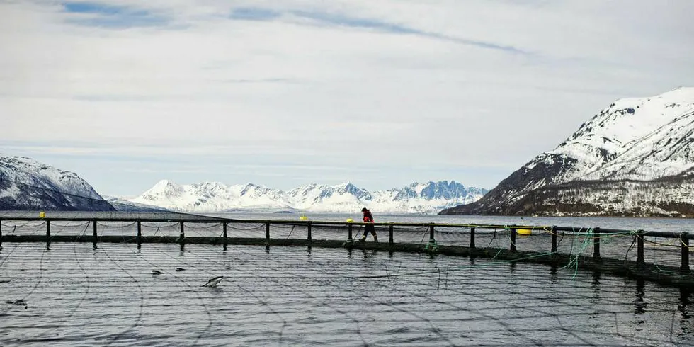 DIALOG: Fiskeridirektøren maner til dialog mellom oppdretter og fisker i konfliktsituasjoner. Her er oppdrettsanlegg på Svartberget, Kvænangen kommune i Troms.Illustrasjonsfoto: Katinka Hustad