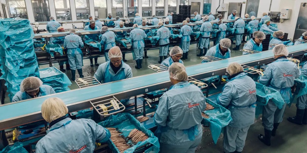 Denne uken har det blant annet foregått forhandlinger om pelagiske kvoter. Illustrasjonsfoto: I fiskefabrikken Ouwehand jobber hundrevis av kvinner med å rense og pakke fisken. Fisken sorteres og legges i porsjonsesker med finkuttet løk for salg i butikker.