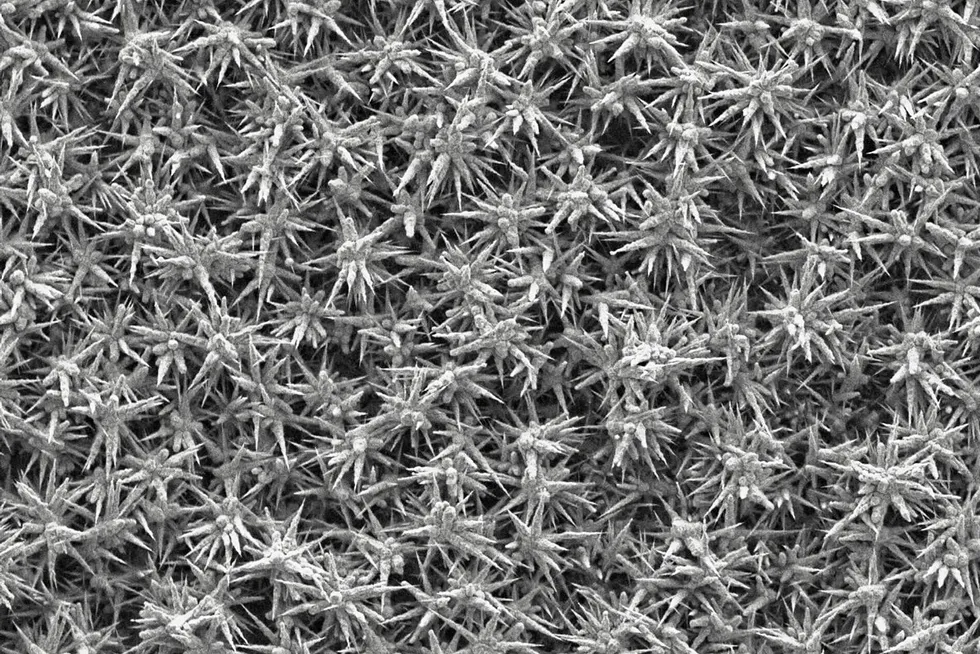 A microscopic close-up of the metallic-alloy coating produced by Oxford NanoSystems.