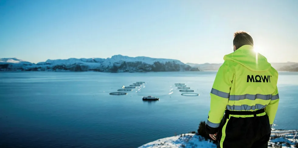 Mowi er verdens største lakseoppdretter. Illustrasjonsfoto.