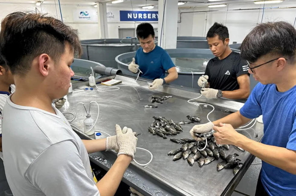 The vaccine, developed by UVAXX in collaboration with Singapore's Agency for Science, Technology and Research (A*STAR), has the potential to transform Asian sea bass farming.