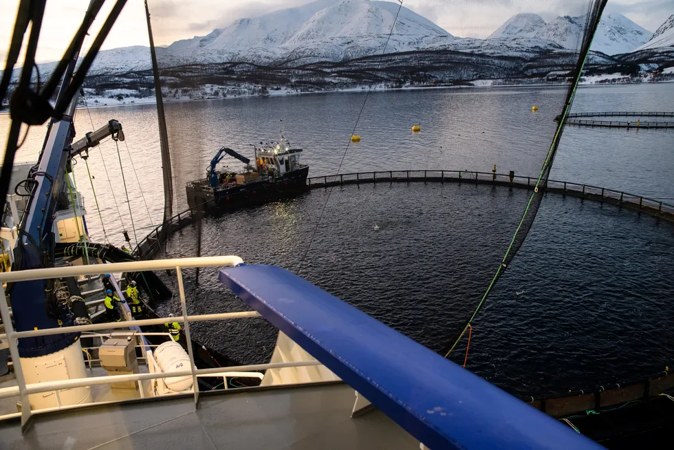 Næringen tåler høy skatt på overskudd, skriver artikkelforfatteren.