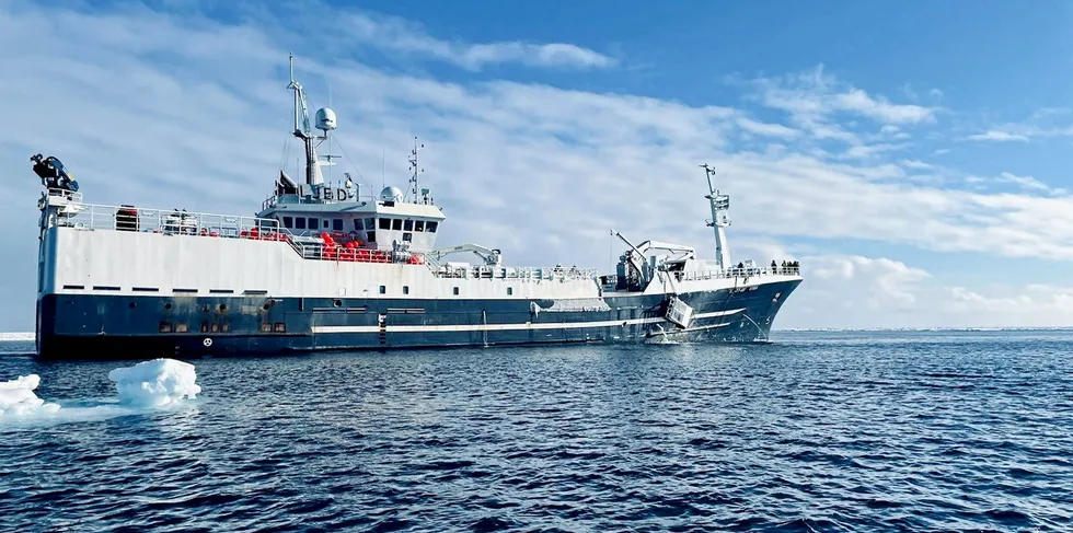 – Vi kom litt sent ut, og skulle helst satt teinene på feltet 1. januar, vi og, sier skipper Harald Ringdal. Mandag er Vima» på 78,39 meter fra Austevoll-rederiet Opilio i Tromsø for å losse fangsten.