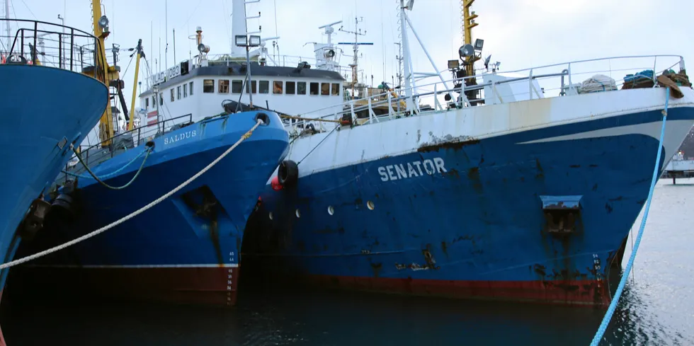 Den latviske snøkrabbebåten «Senator», her til kai i Båtsfjord.