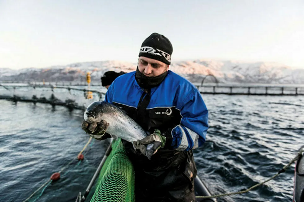 A Russian Aquaculture salmon farm.