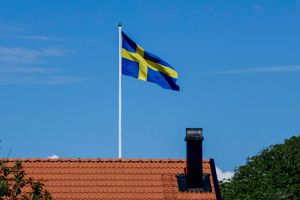 Hytteeierne som saksøkte staten for å slippe karanteneplikten etter å ha overnattet på hytta i Sverige, får ikke medhold av Høyesterett.