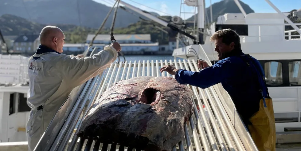Truls Soløy tror kjøperne ble skeptiske da markedsføringen av hvalkjøtt på lik linje med annen norsk sjømat ble nedstemt på Stortinget.