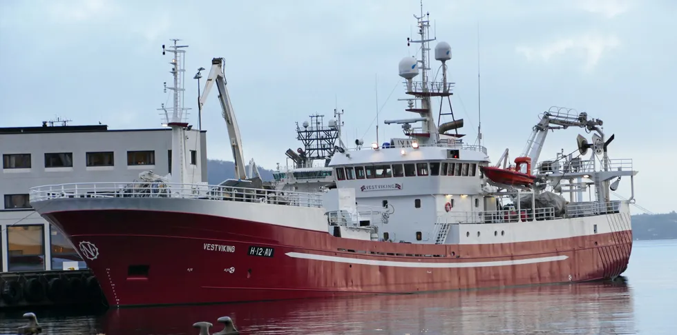 Ringnotsnurperen «Vestviking» er på vei tilbake i fiskeri etter to år ute av fiske, på grunn av en bitter familiekrangel. Her til kai ved Bontelabo i Bergen