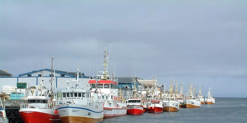 Bilde fra Berlevåg i juni 2006. Arkivfoto: fiskeri.no