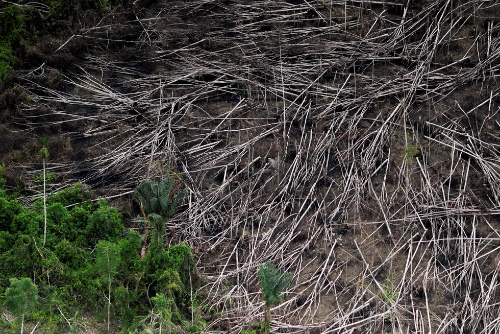 Brasilianske myndigheter jobber for å hindre avskoging. Her et luftbilde av et skogsområde i Novo Progresso i staten Para i nordlige Brasil som har blir utsatt for ulovlig avskoging. Foto: Ueslei Marcelino/Reuters/NTB Scanpix