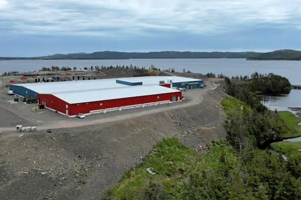 Grieg Seafood Newfoundland is planning to produce 5,000 metric tons of salmon through 2023.