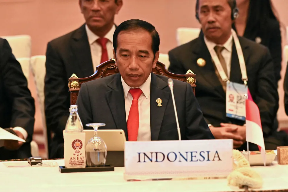 Veto: Indonesia's President Joko Widodo