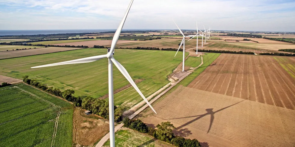 Denmark's Rødby Fjord wind farm.