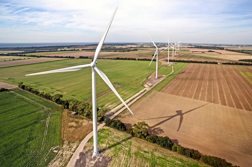 Denmark's Rødby Fjord wind farm.