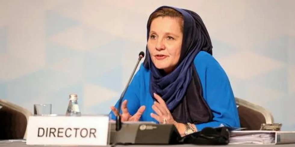 Rabia Ferroukhi, director of Irena’s knowledge, policy and finance centre