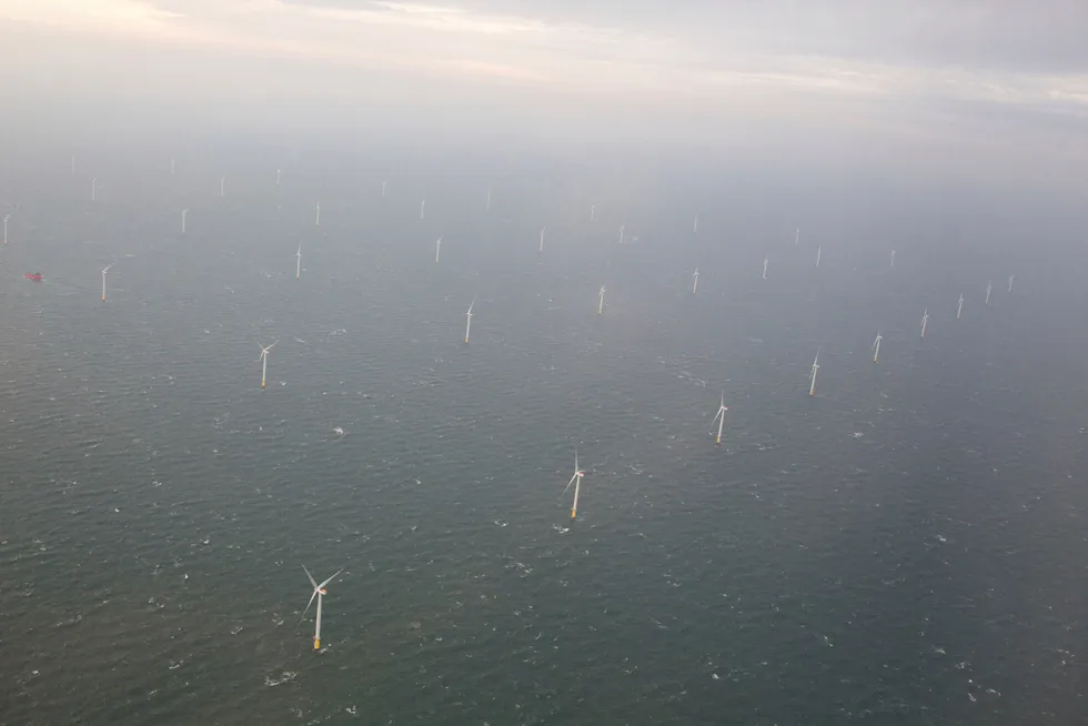 Det er i dag minst ti land som planlegger å utvikle flytende havvind, skriver artikkelforfatteren.