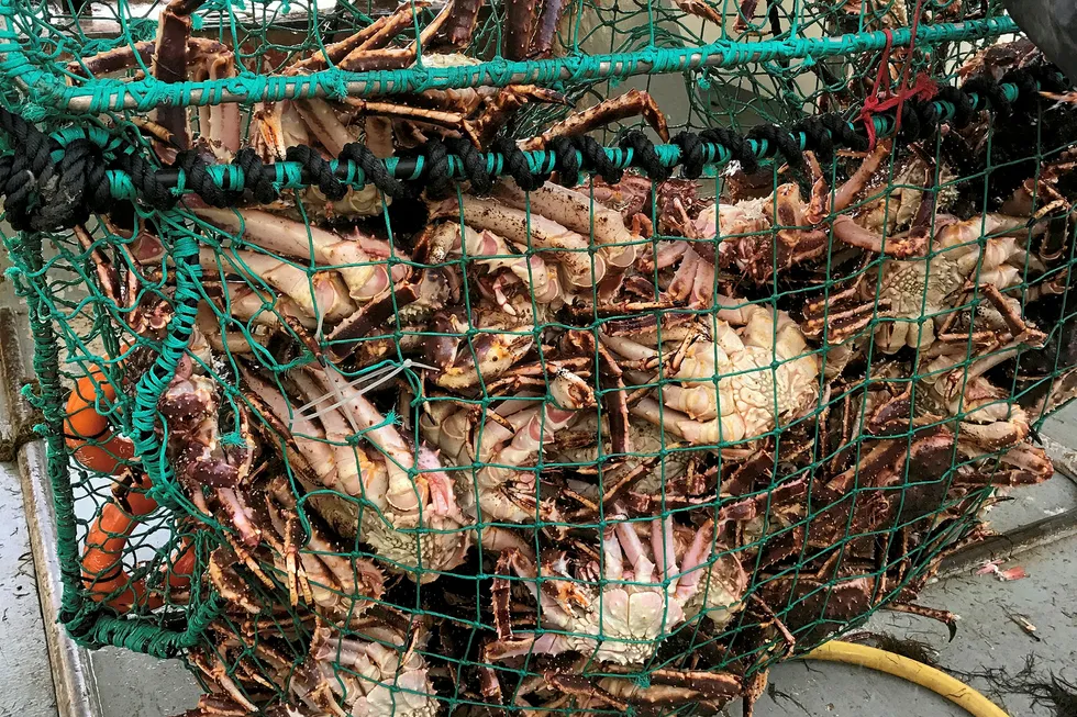 Russia wants to get an even bigger slice of the Barents Sea king crab market. Norway has been successfully fishing the invasive species, and finding eager new markets.