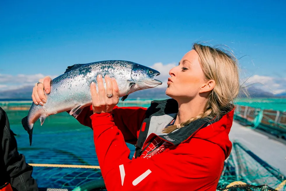 It's been a record-breaking salmon market in the first half of the year.