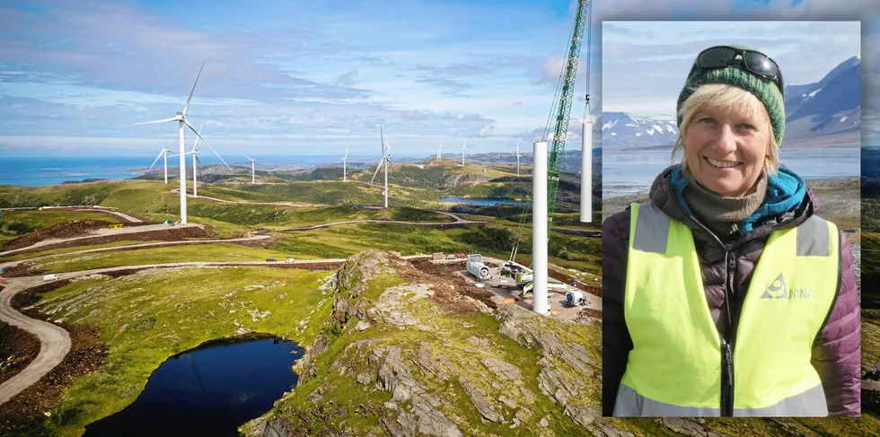 Nina-forsker Dagmar Hagen er blant forskerne som skal se på verktøy for å lage naturregnskap. Fosen vindkraftverk i bakgrunnen.