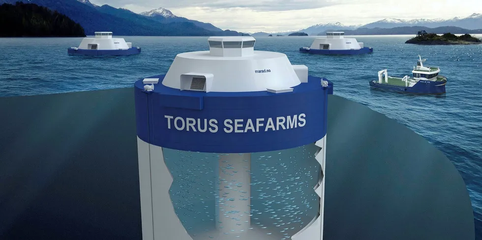 Illustrasjon av Torus Seafarm som Marad har fått patenter på, men som Hauge Aqua bestrider.