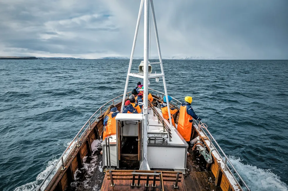 Norway's cod fisheries in danger of losing MSC stamp again | Intrafish
