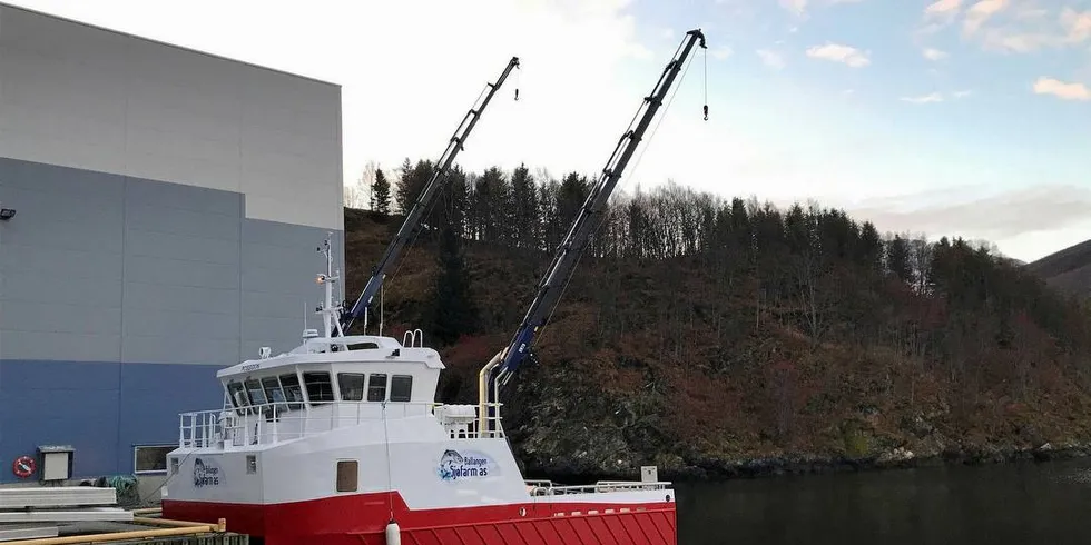 NYBYGG: Grovfjord Mek. Verksted har levert en båt til Narvik-selskapet Ballangen Sjøfarm AS for første gang.Foto: Grovfjord Mek. Verksted